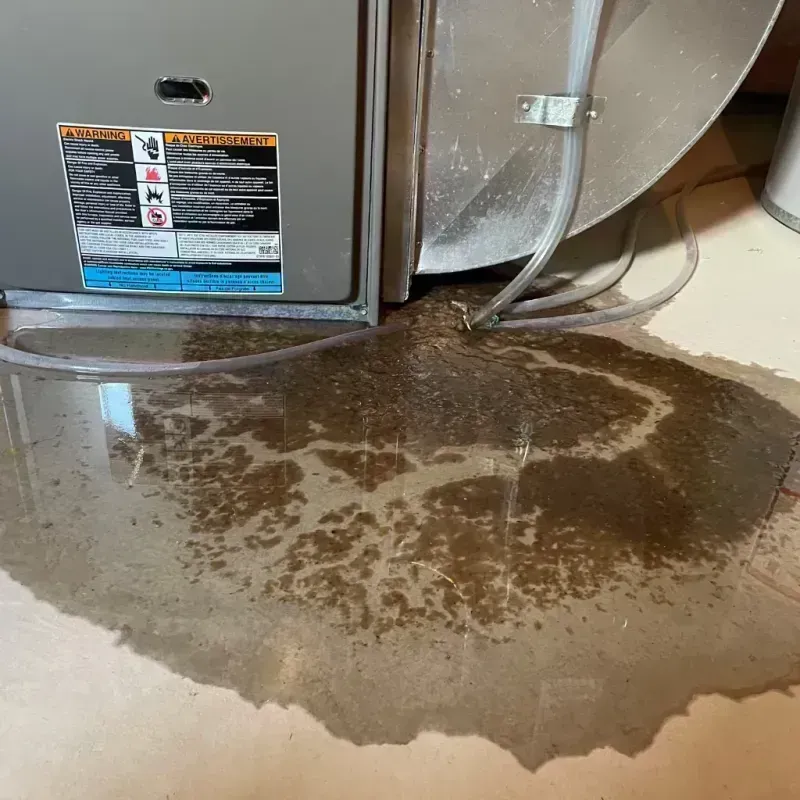 Appliance Leak Cleanup in Bethel, AK